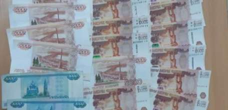 В Ельце сотрудниками полиции раскрыта кража денег из сумки