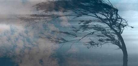 Внимание! Экстренное предупреждение МЧС: сильный ветер, дождь