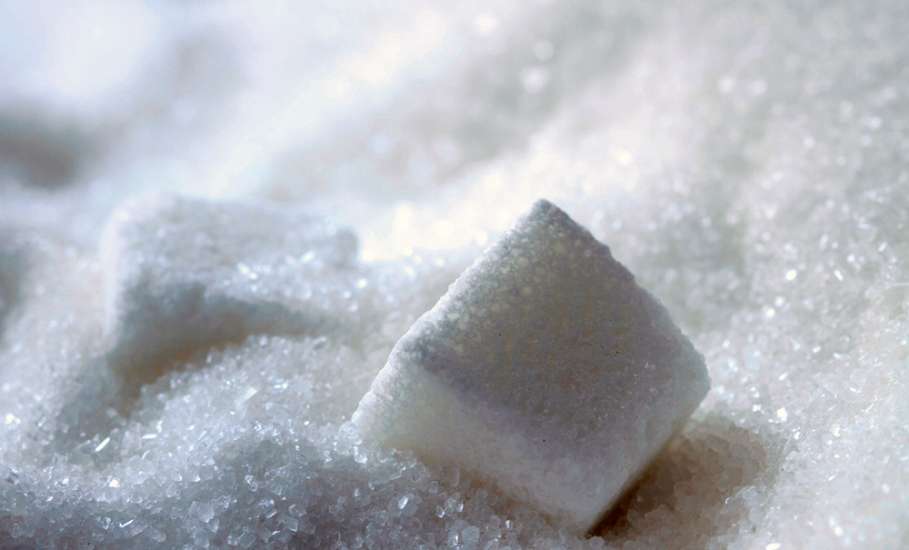 Липецкая область – первая в России по производству сахара