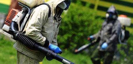 В Ельце в связи с увеличением сезонной активности клещей начинается профилактическая акарицидная обработка