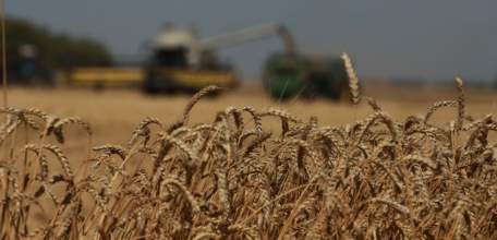 Липецкие аграрии достигли рекордных показателей в 2020 году