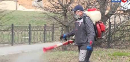В Ельце началась противоклещевая обработка парков и скверов
