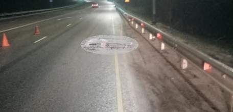 ДТП в Ельце на трассе "Дон"