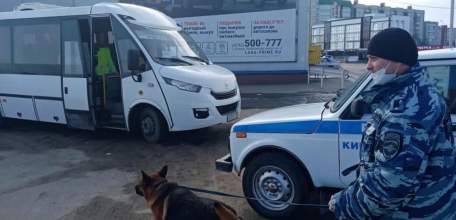 Кинологическая служба ОМВД России по г. Ельцу осуществила 197 выездов за последние 3 месяца