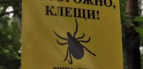 Внимание! В городском парке будет проводиться обработка против клещей
