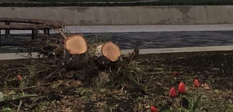 Общественность Ельца требует наказать ответственных и виновных лиц и привлечь их к уголовной ответственности!