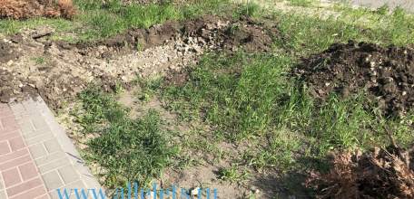 Уважаемые жители города Ельца!