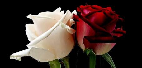 Ромео и Джульетта на сцене «Бенефиса»