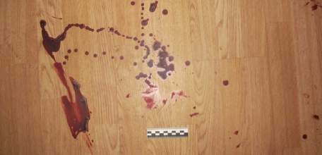 В Ельце вынесен приговор фигуранту уголовного дела об убийстве пенсионерки и краже