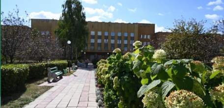 Педиатр из Ельца получит областную премию