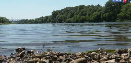 &laquo;Купание запрещено!&raquo; В реке Быстрая Сосна утонул житель Кыргызстана