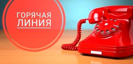 В прокуратуре Ельца в июле 2021 года организована работа &laquo;горячей линии&raquo; по вопросам предпринимательской деятельности.