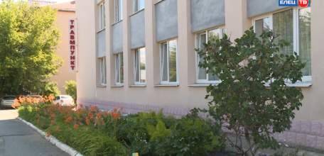 Переломы, порезы, укусы собак и клещей все чаще становятся причиной обращений в травмпункт детской больницы