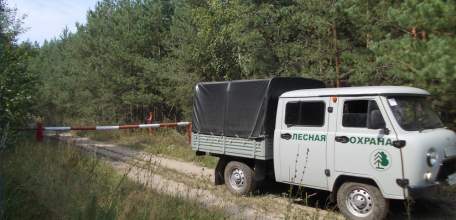 Посещение лесов в регионе ограничено из-за опасности возникновения пожаров