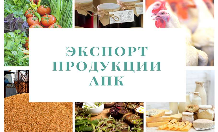 Аграрии Липецкой области экспортировали товаров и сырья более чем на 275 млн долларов
