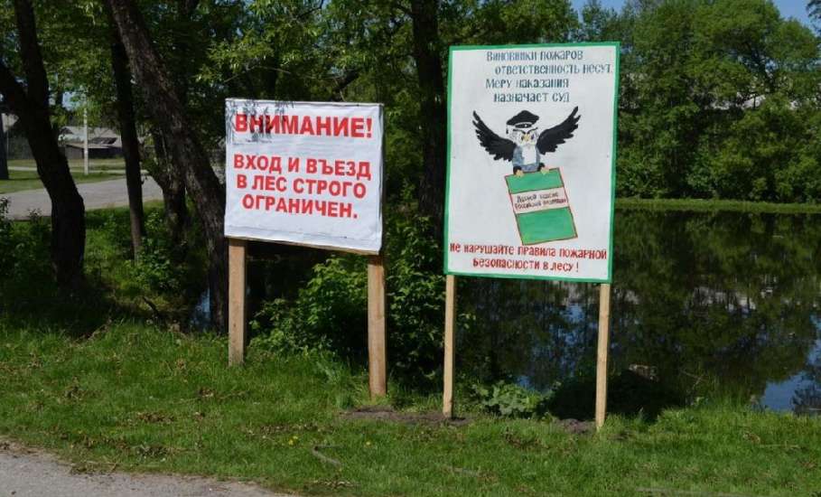 В Липецкой области запрет на посещение лесов продлили до 19 августа