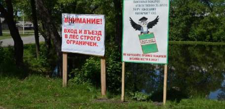 В Липецкой области запрет на посещение лесов продлили до 19 августа