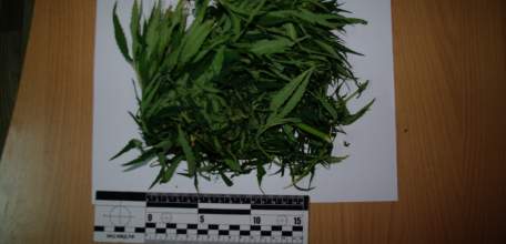 Елецким ЛО МВД России на транспорте проводится второй этап оперативно-профилактического мероприятия &laquo;МАК&raquo;