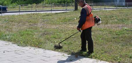 Работы по покосу травы продолжаются