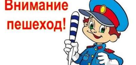 С 1 по 5 сентября в Елецком районе пройдет мероприятие ГИБДД &laquo;Внимание-пешеход!&raquo;