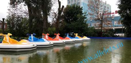 Кто ответит за спиленные вековые дубы в Горсаду?!