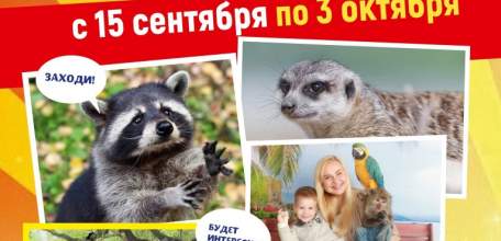 Елец, встречай! Дом экзотических животных "ДЖУМАНДЖИ"