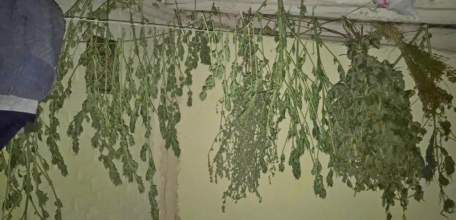 В Елецком районе сотрудники полиции изъяли из незаконного оборота 4 килограмма наркотиков