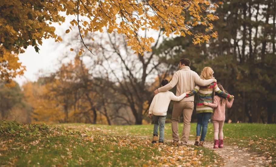 Семьи с детьми в Липецкой области получат выплаты до ноябрьских праздников