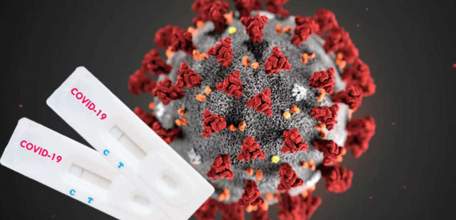 Сводка по коронавирусу в Липецкой области на 8 ноября 2021 г.