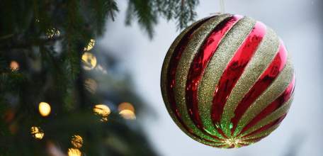 Липецкие лесники планируют заготовить к Новому году около 35 тыс. сосен и елей