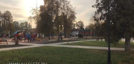 Красивый парк в Ельце превратили в пустыню!