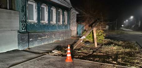 ОГИБДД ОМВД России по г. Ельцу просит откликнуться очевидцев ДТП