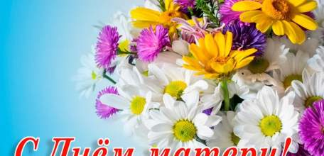 Руководители региона поздравили жительниц Липецкой области с Днем матери