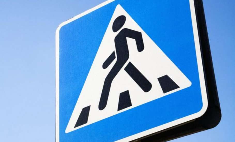Итоги проверки соблюдения ПДД на пешеходных переходах в Елецком районе 8-9 декабря 2021 г.