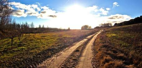 Прокурор района в судебном порядке потребовал провести рекультивацию засыпанной щебенкой грунтовой дороги ООО «Арсенал»