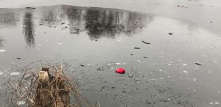 В Ельце устанавливаются обстоятельства смерти 11-летнего школьника, тело которого обнаружено в пруду городского парка