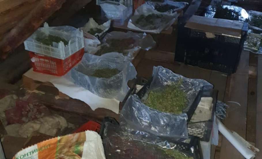 В Ельце наркополицейские изъяли более шести килограмм марихуаны