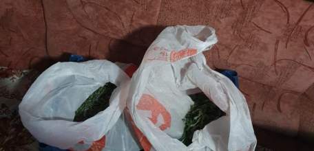 В Ельце наркополицейские изъяли более шести килограмм марихуаны