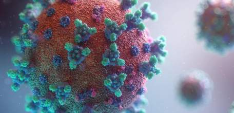 Сводка по коронавирусу в Липецкой области на 24 декабря 2021 г.