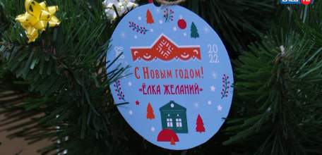 В Ельце дан старт новогодней акции «Елка желаний»