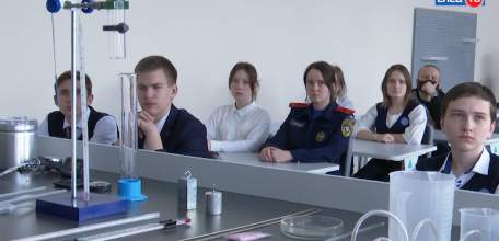 Онлайн-лабораторная: десятиклассники школ Ельца расширяют знания по физике