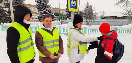 Родительские патрули агитируют за дорожную безопасность на липецких дорогах
