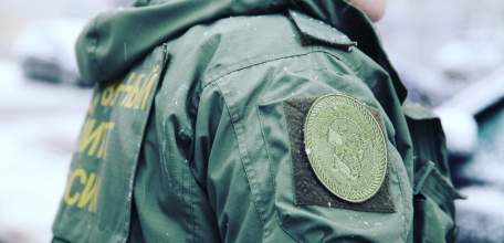 В Елецком районе следователи регионального СК России проводят проверку по факту нападения собаки на школьницу