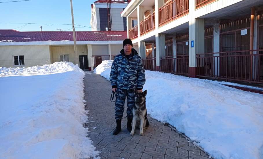 В кинологической группе ОМВД Росси по г. Ельцу пополнение