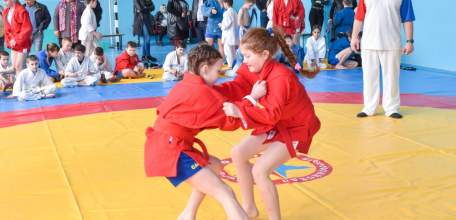 В Елецком районе прошло Первенство по самбо среди юношей и девушек 2008 -2009 г.р.