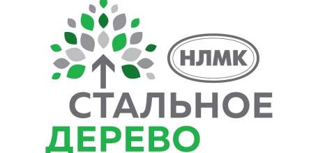 Трое педагогов Ельца получат гранты на добрые дела от программы «Стальное дерево»