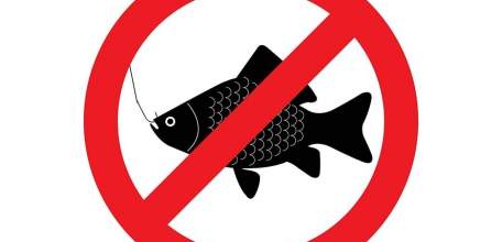 Внимание! Нерестовый запрет