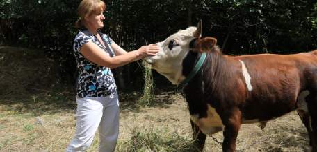 Грантовая поддержка липецких фермеров и кооперативов в этом году превысит 158 млн рублей