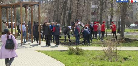 «Сад памяти»: в парке железнодорожников высадили около 140 молодых деревьев и кустарников