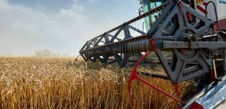 Липецкая область наращивает объемы производства продукции сельского хозяйства